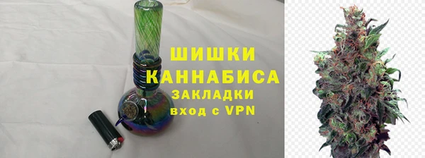дживик Богородицк