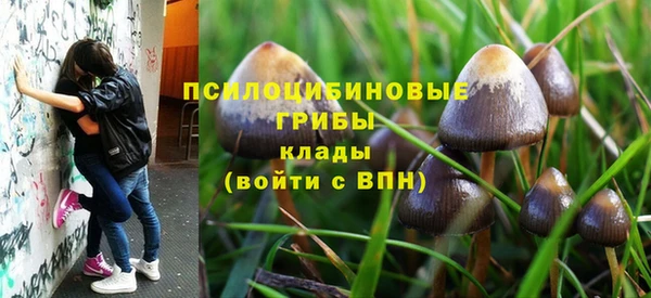винт Белоозёрский