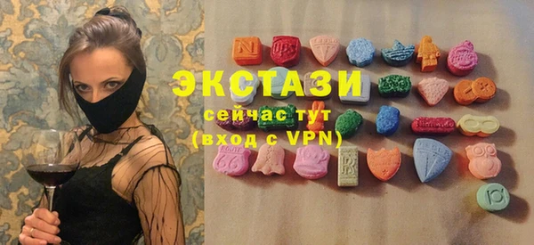 дживик Богородицк