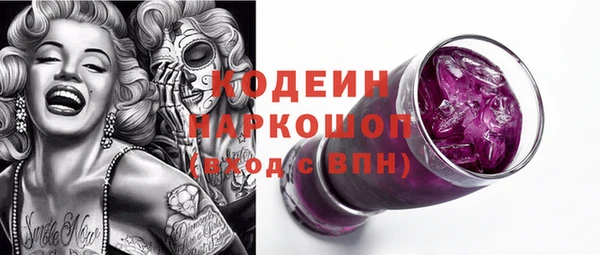 дживик Богородицк