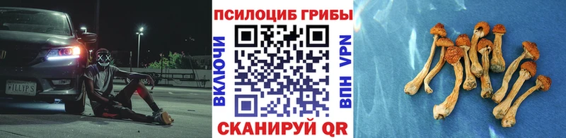 Галлюциногенные грибы Magic Shrooms  Биробиджан 
